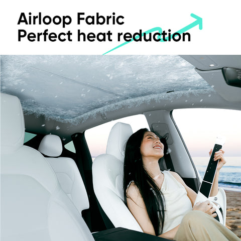 Glass Roof Sunshades - Model 3/Y