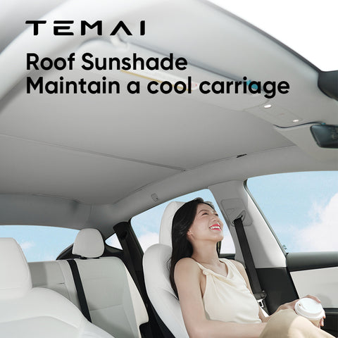 Glass Roof Sunshades - Model 3/Y